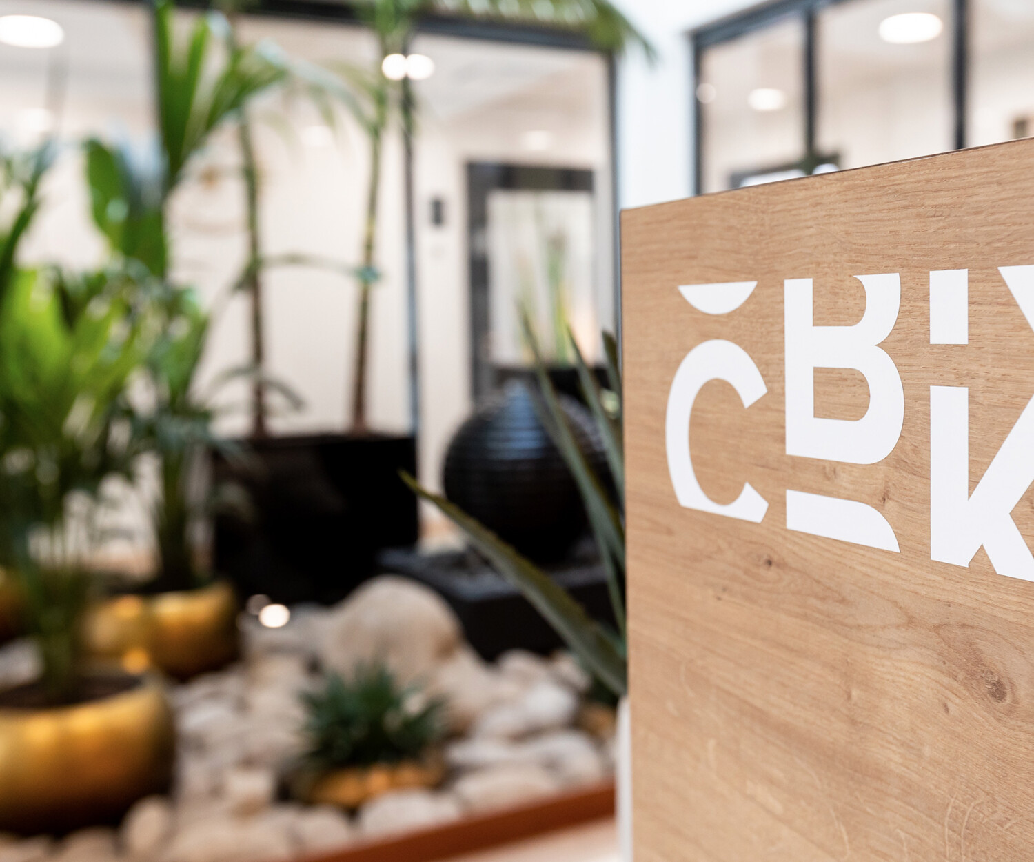 creation logotype charte graphique cbk