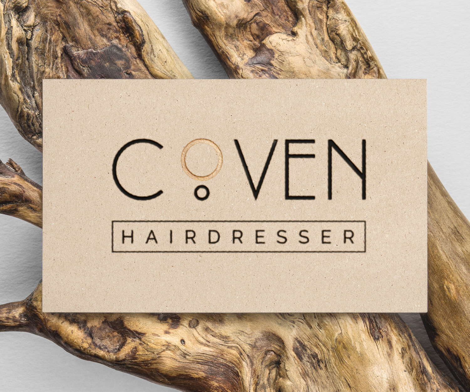 creation logo lyon charte graphique