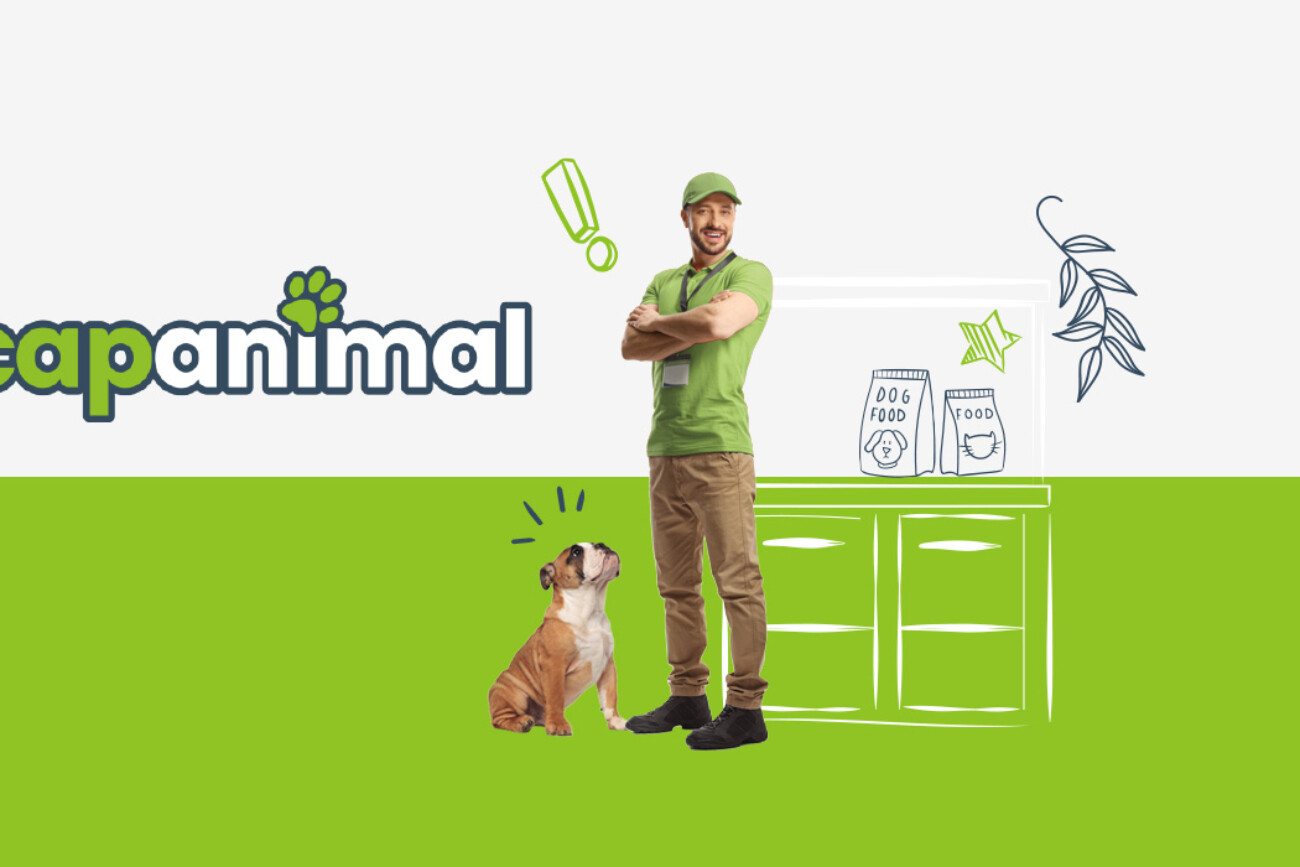 creation webdesign design web