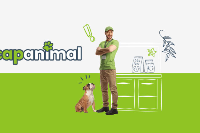 Création design web