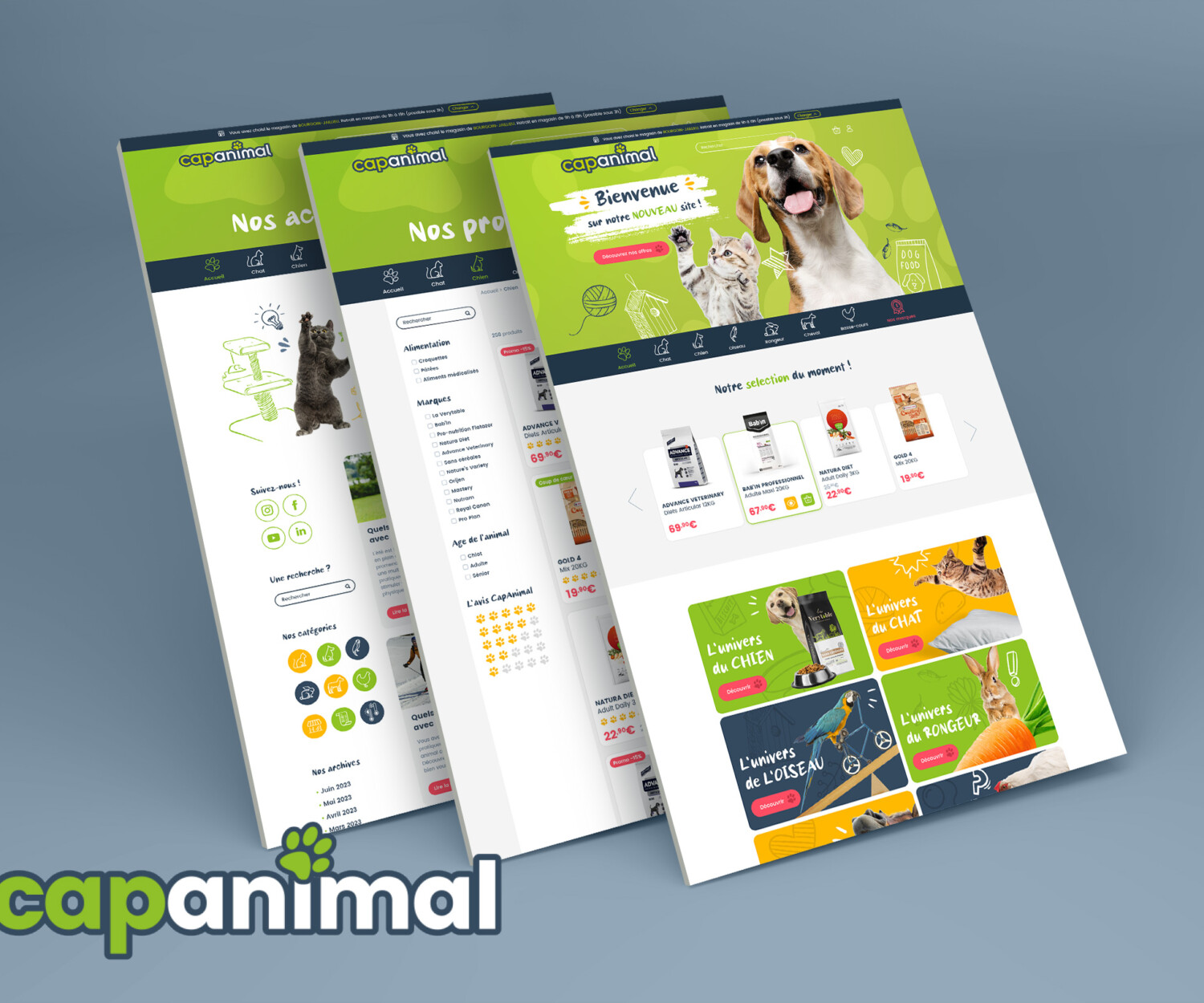 creation design web capanimal