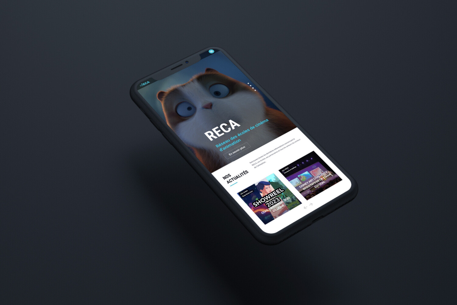 webdesign site internet responsive reca animation