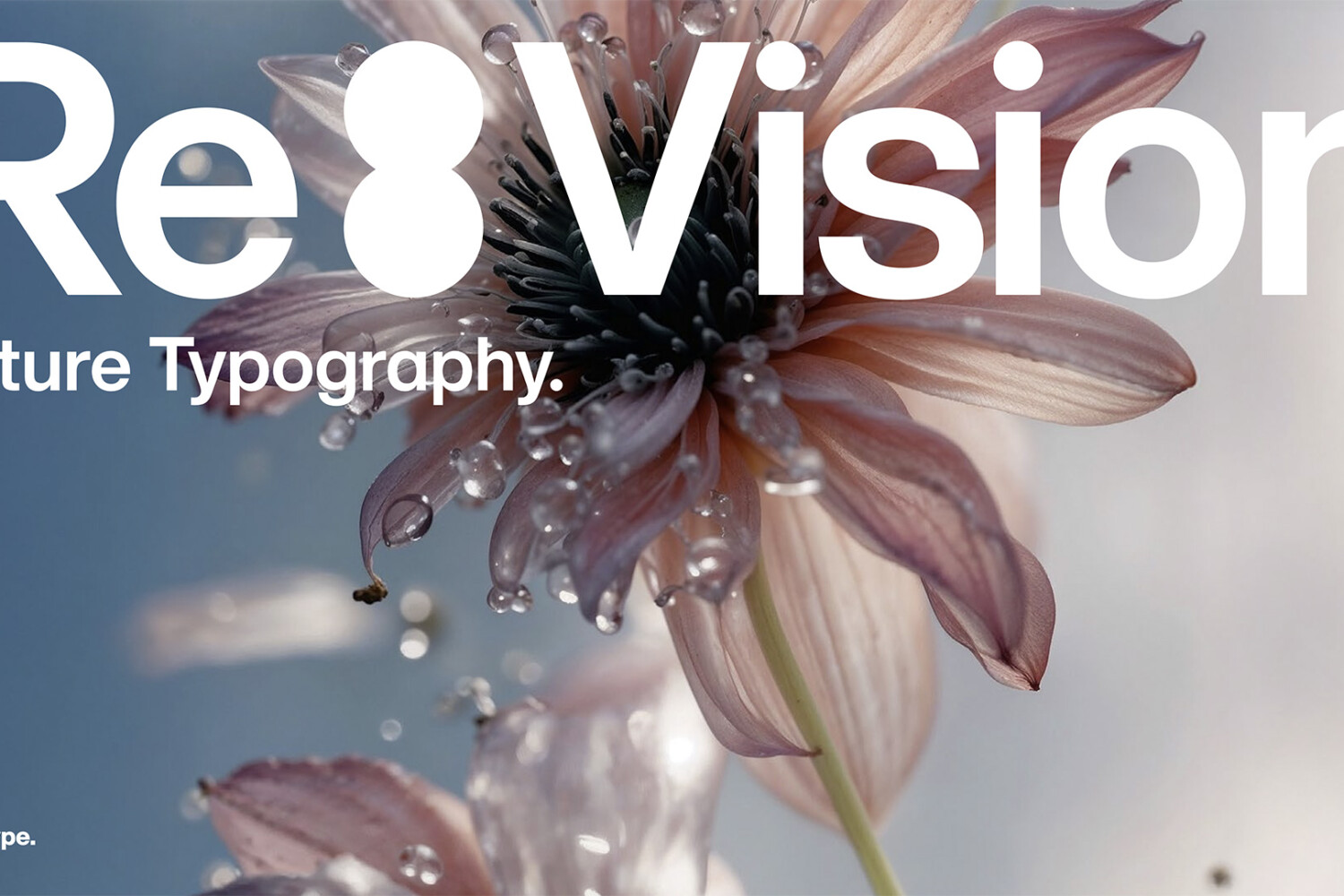 Rapport monotype typographie tendances 2025